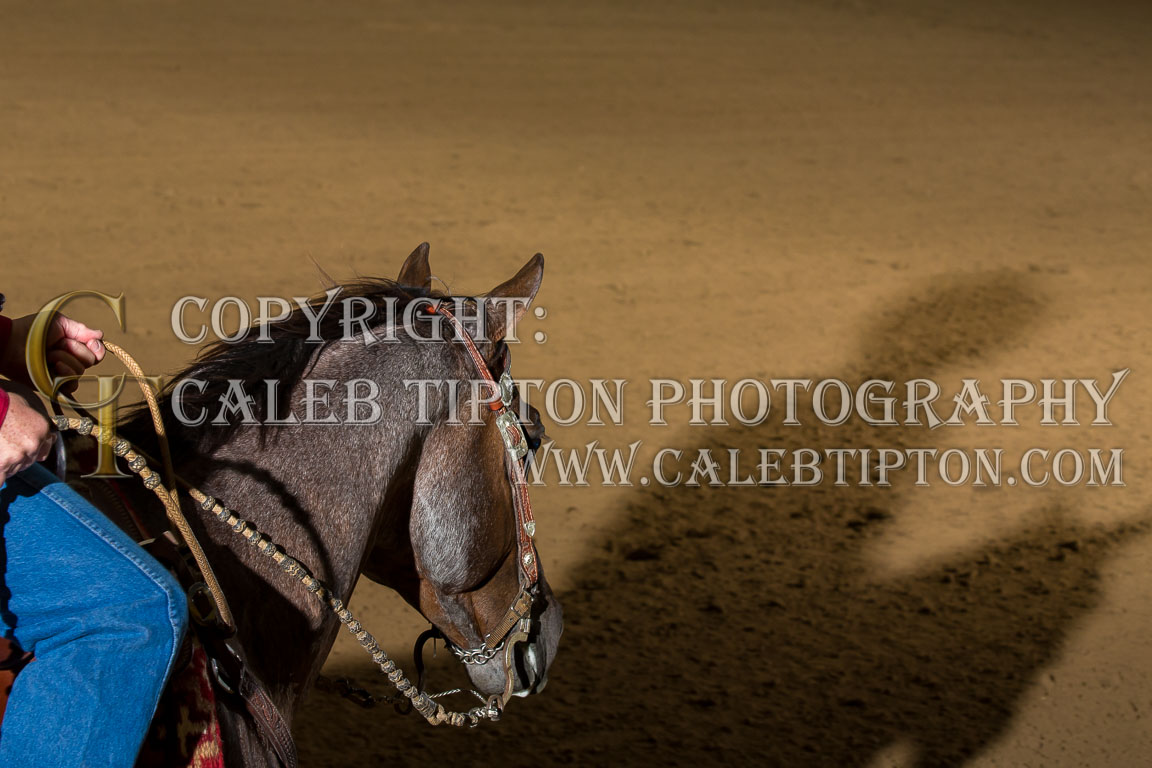 Copyright: Caleb Tipton Photography