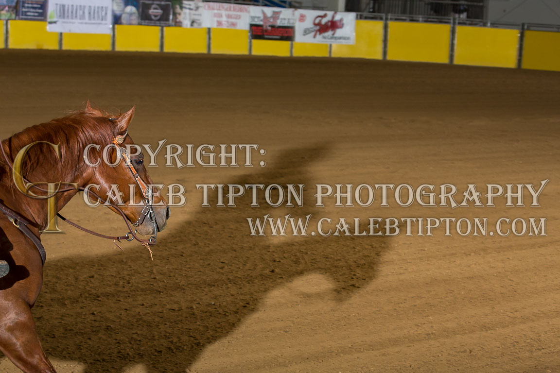 Copyright: Caleb Tipton Photography