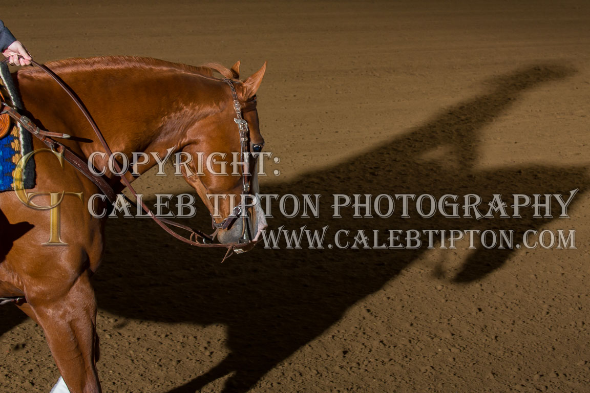 Copyright: Caleb Tipton Photography