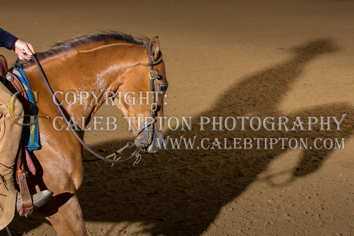 Copyright: Caleb Tipton Photography