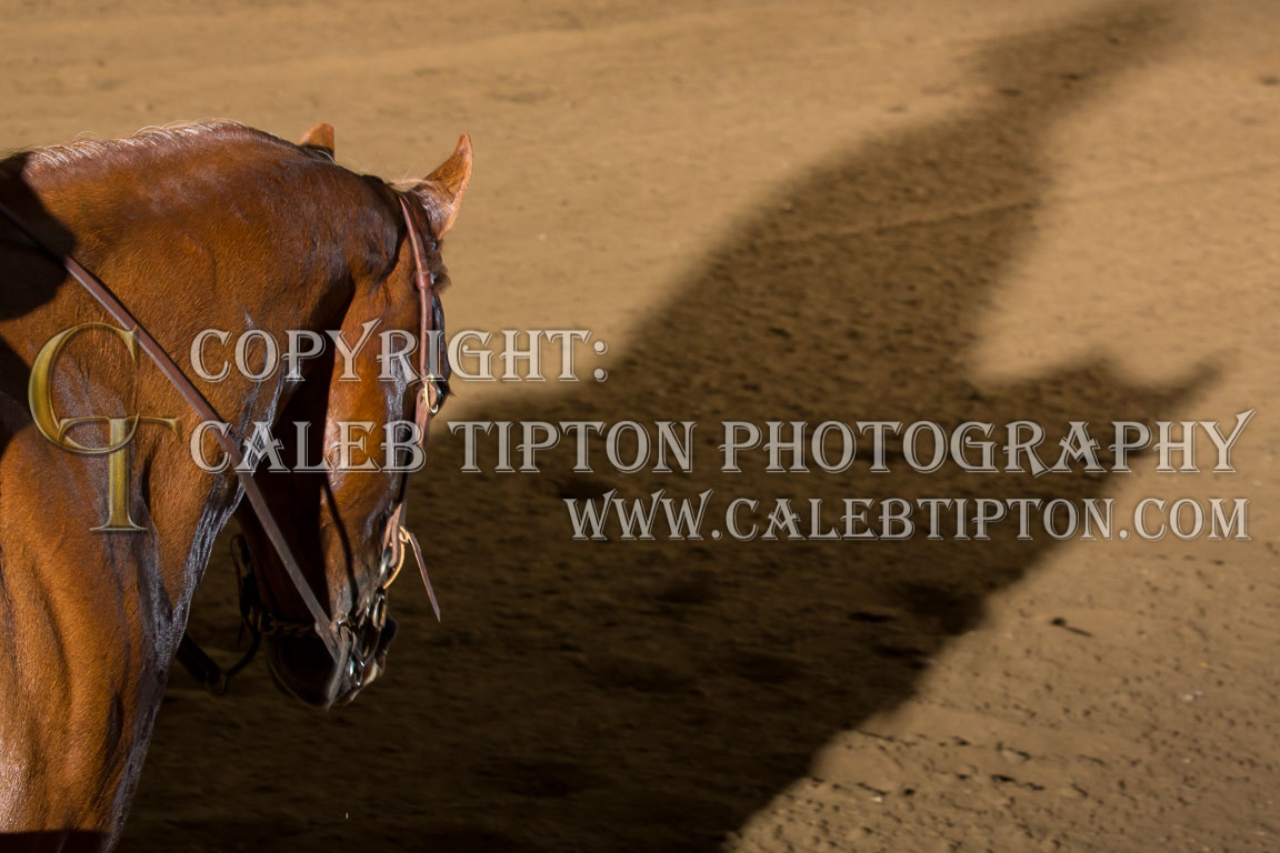 Copyright: Caleb Tipton Photography