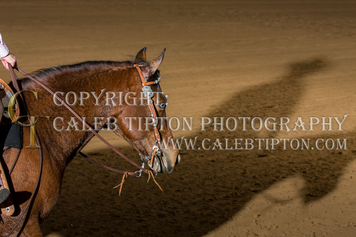 Copyright: Caleb Tipton Photography