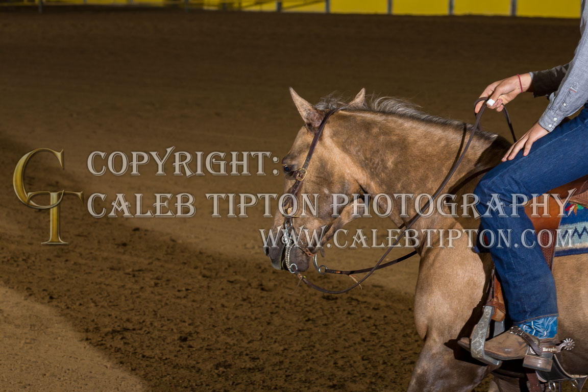 Copyright: Caleb Tipton Photography