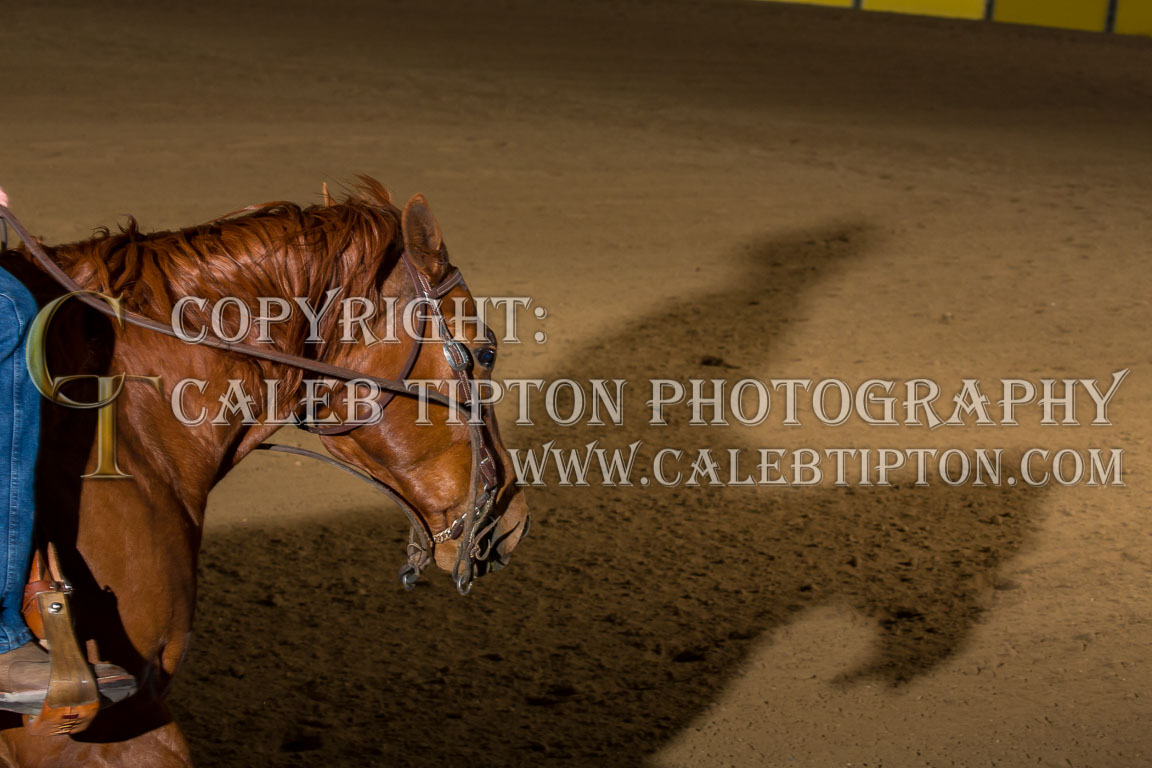 Copyright: Caleb Tipton Photography