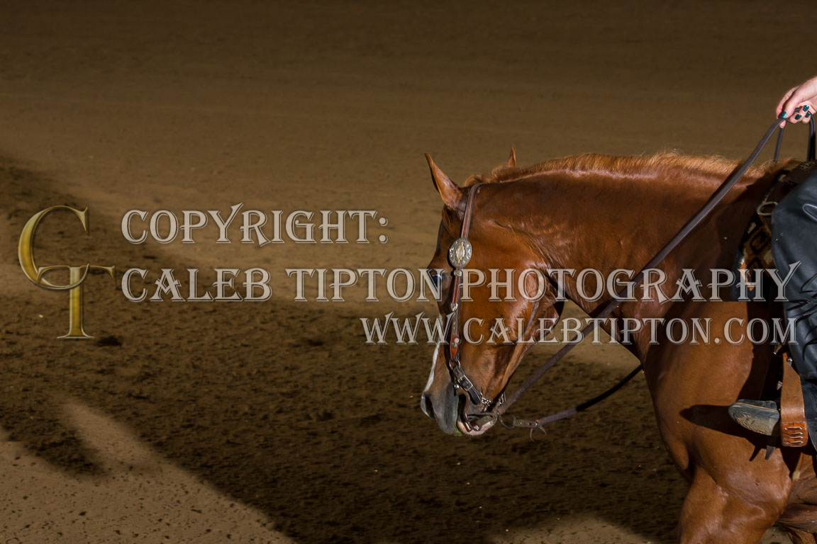 Copyright: Caleb Tipton Photography