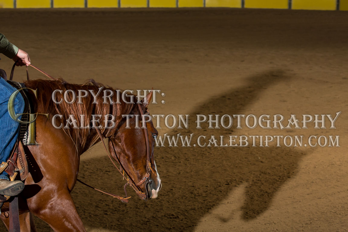 Copyright: Caleb Tipton Photography