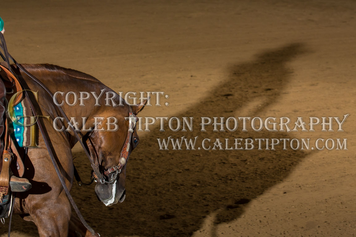 Copyright: Caleb Tipton Photography