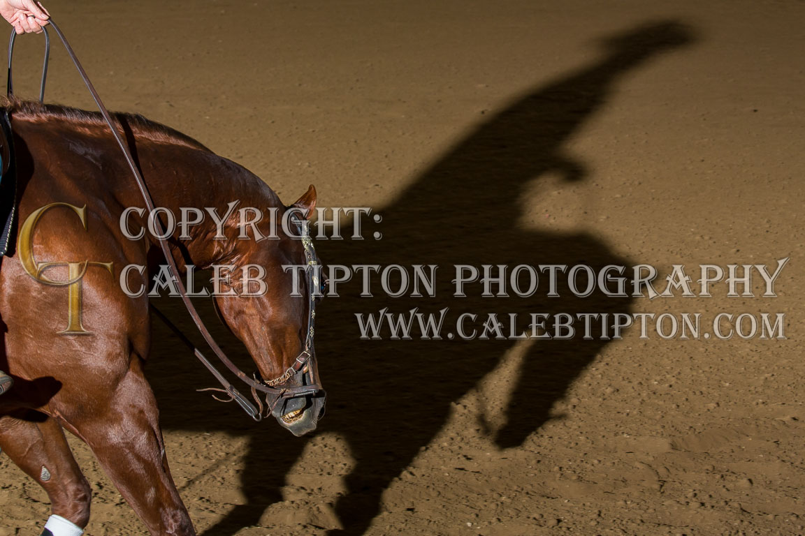 Copyright: Caleb Tipton Photography