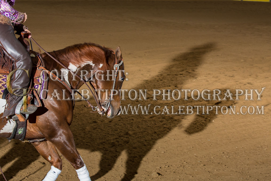 Copyright: Caleb Tipton Photography