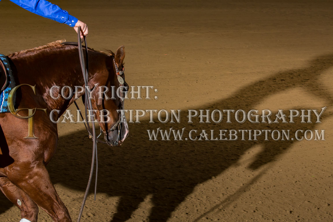 Copyright: Caleb Tipton Photography