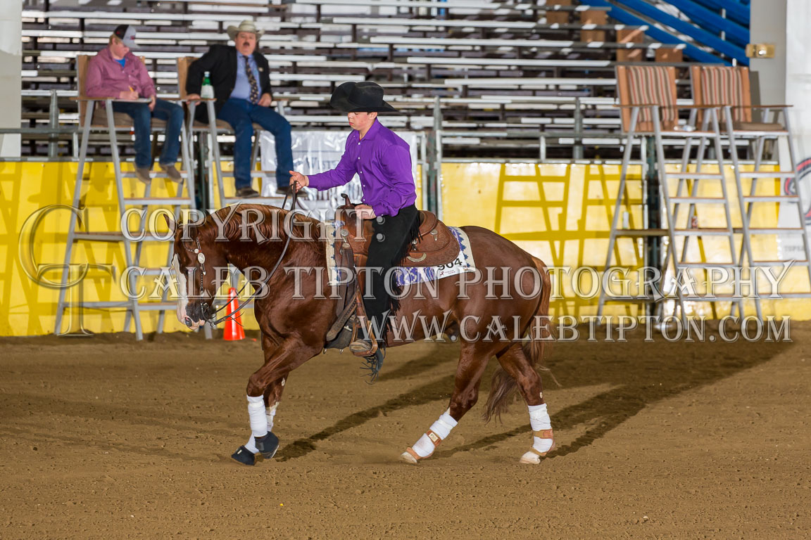 Copyright: Caleb Tipton Photography