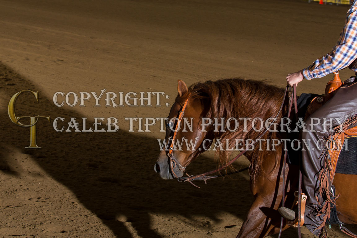 Copyright: Caleb Tipton Photography