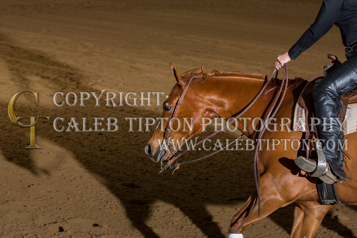 Copyright: Caleb Tipton Photography