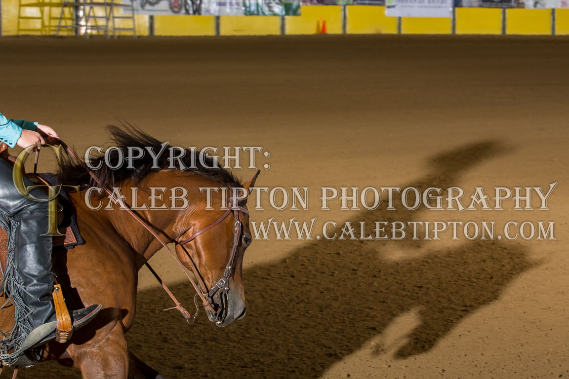 Copyright: Caleb Tipton Photography