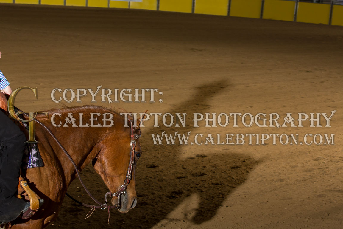 Copyright: Caleb Tipton Photography