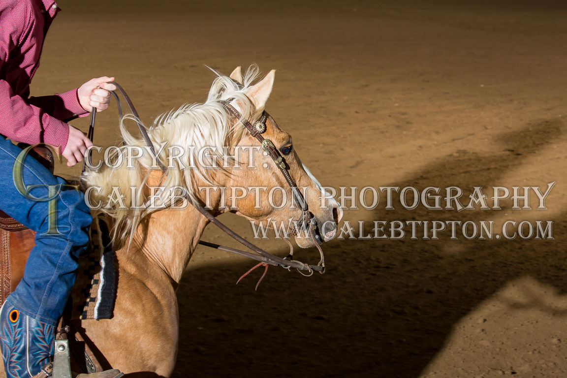 Copyright: Caleb Tipton Photography
