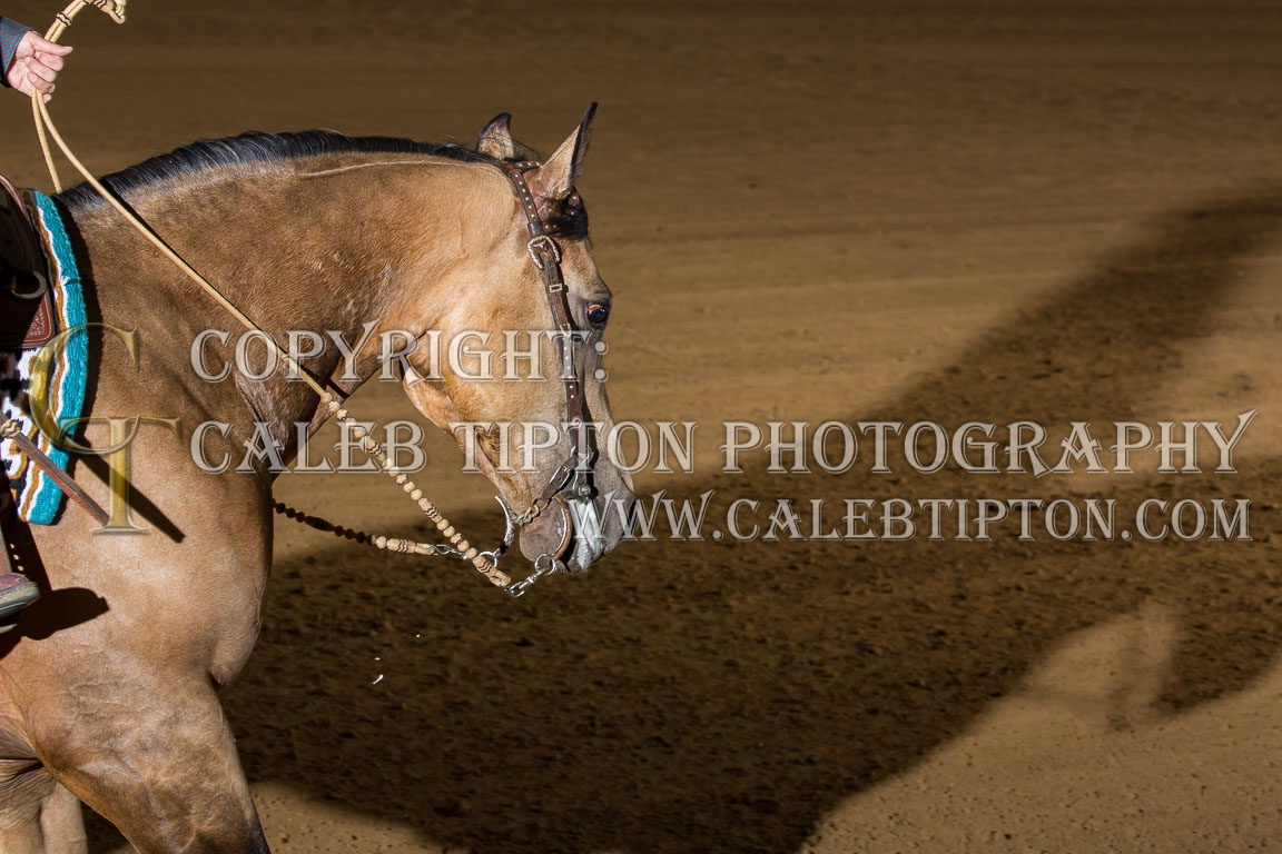 Copyright: Caleb Tipton Photography