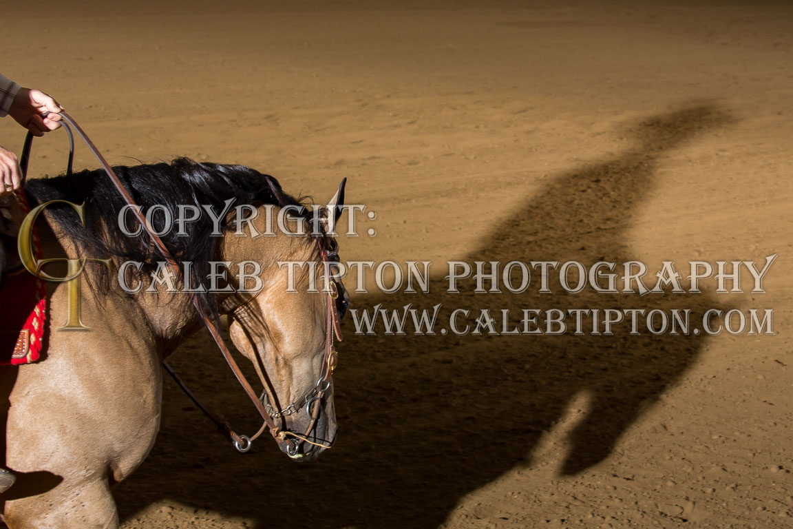 Copyright: Caleb Tipton Photography