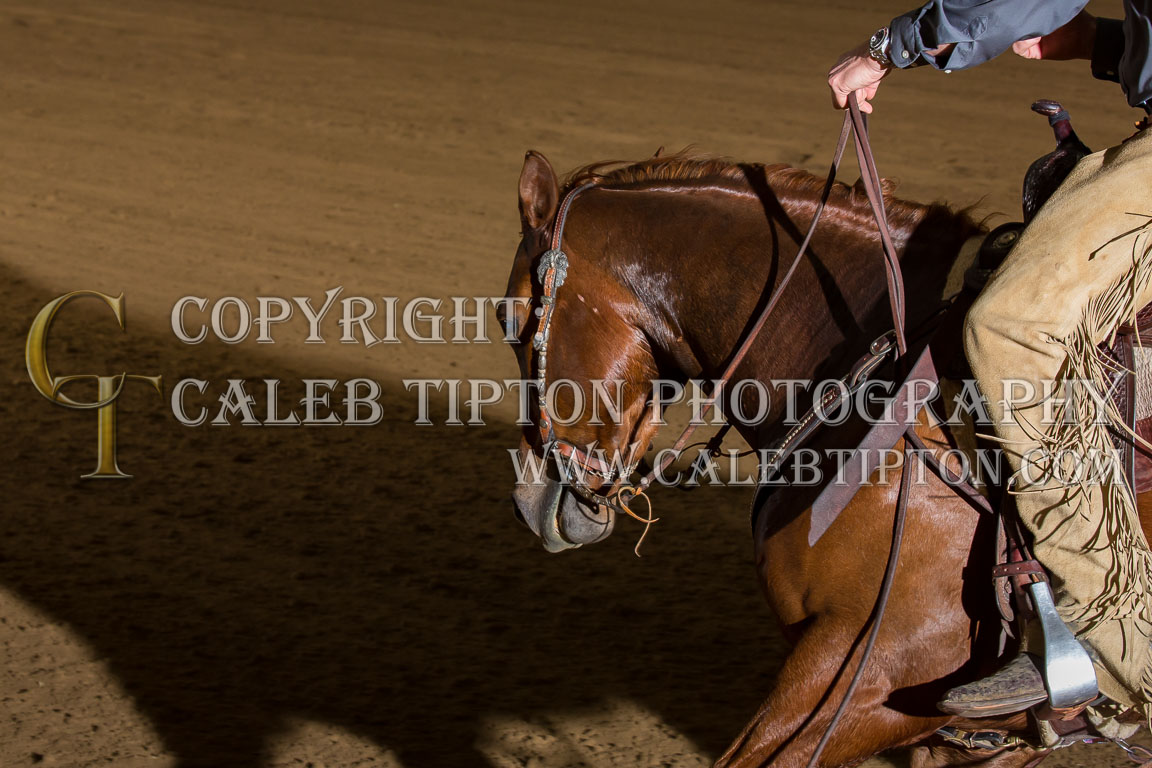 Copyright: Caleb Tipton Photography