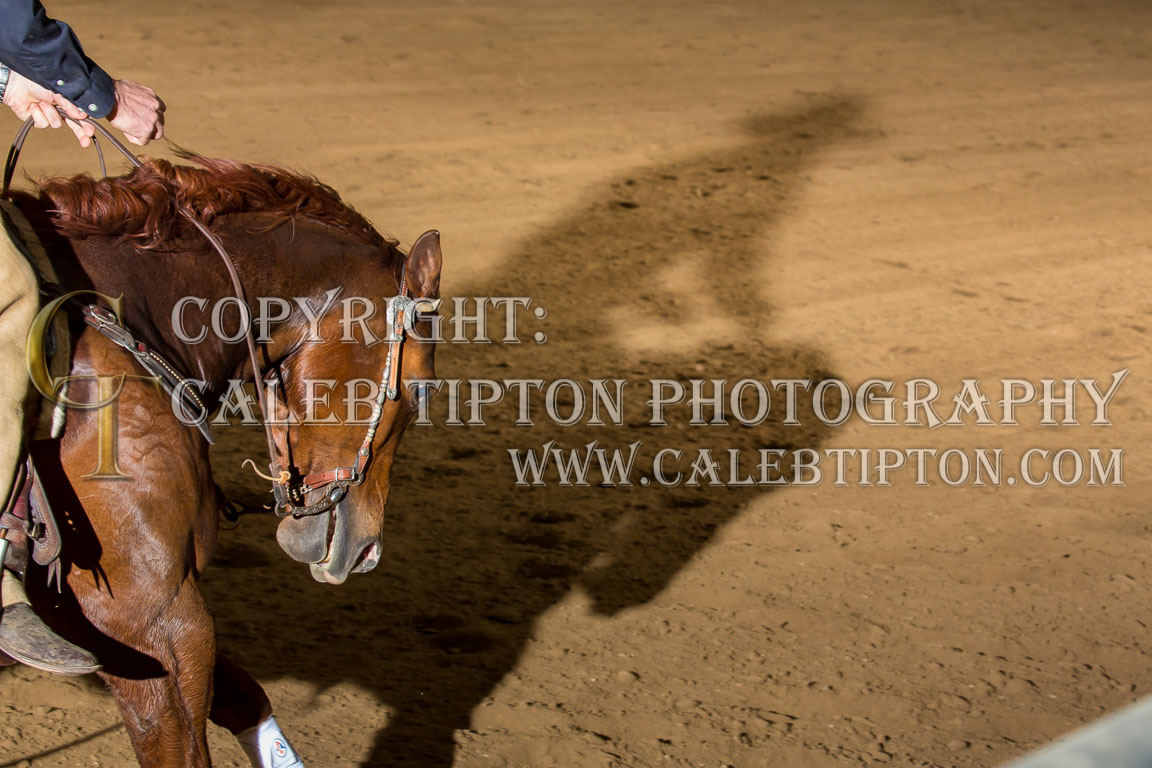 Copyright: Caleb Tipton Photography