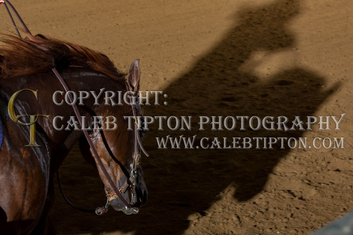 Copyright: Caleb Tipton Photography