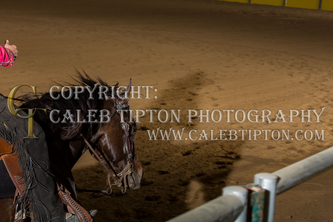 Copyright: Caleb Tipton Photography
