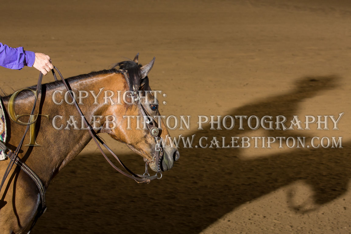 Copyright: Caleb Tipton Photography
