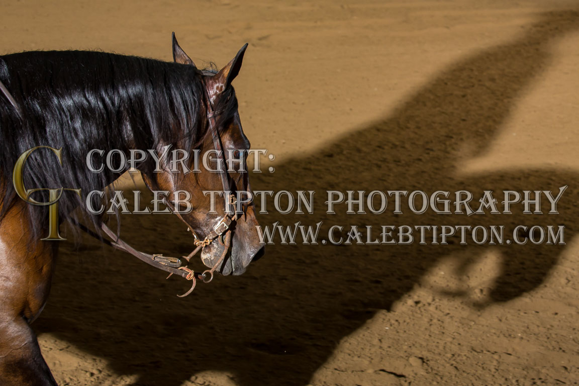 Copyright: Caleb Tipton Photography