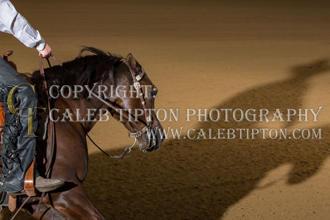 Copyright: Caleb Tipton Photography