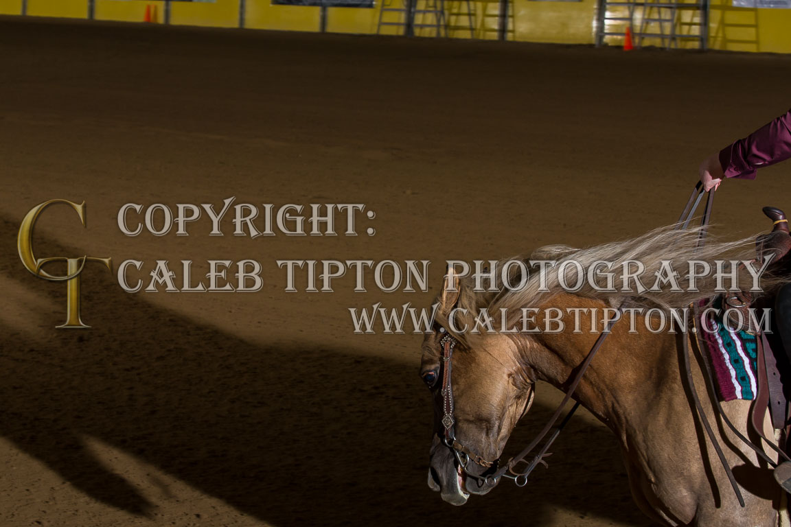 Copyright: Caleb Tipton Photography